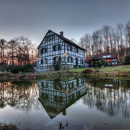 Gaestehaus Wahnenmuehle Erkrath Esterno foto